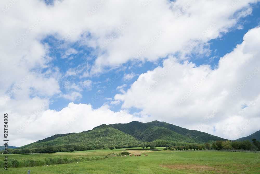 蒜山高原 ジャージー牛のいる牧場(岡山県真庭市蒜山地域) 蒜山高原 ジャージー牛のいる牧場(岡山県真庭市蒜山地域)