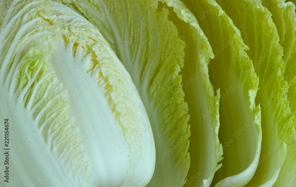 Fototapeta premium Chinese cabbage with full frame.