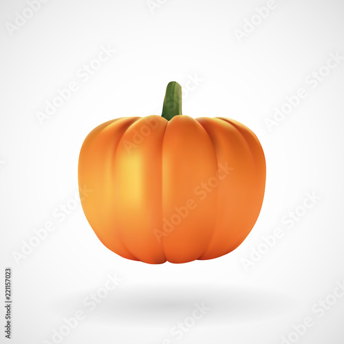 Realistic pumpkin with white background, vector, illustration, eps file
