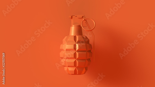 Orange Grenade Concept 3d i...