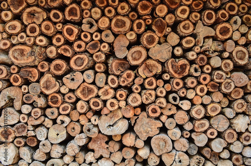 Log wall texture/background Log wall texture/background