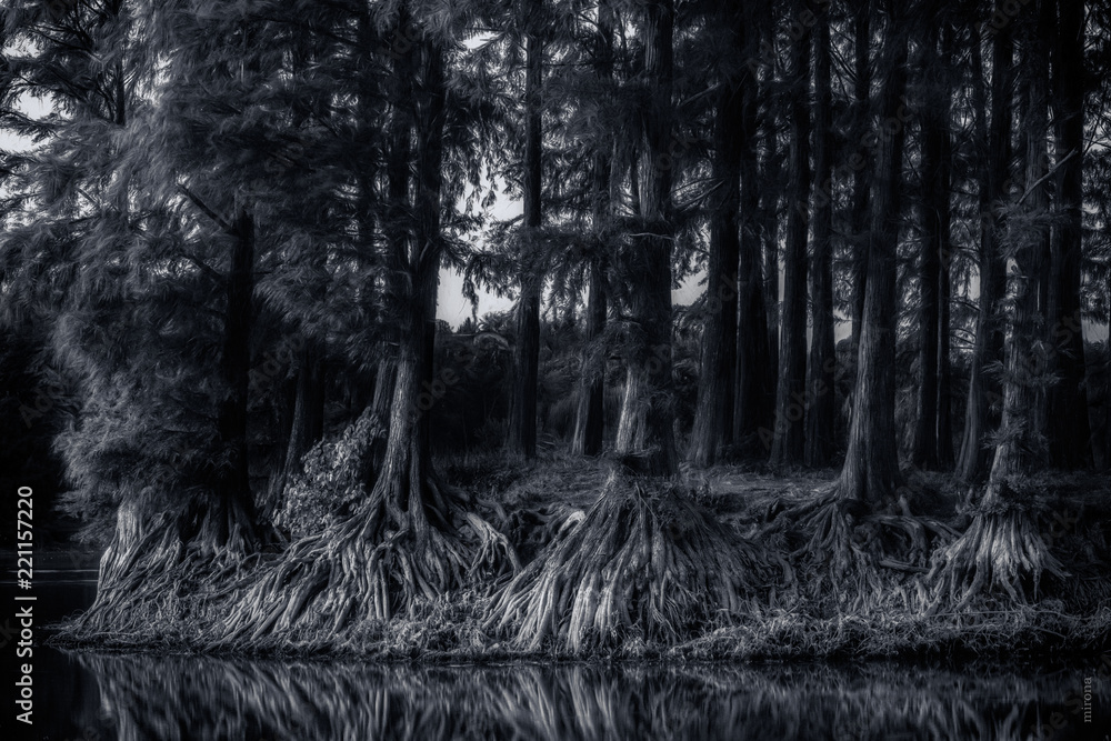 Naklejka premium sunset in grey