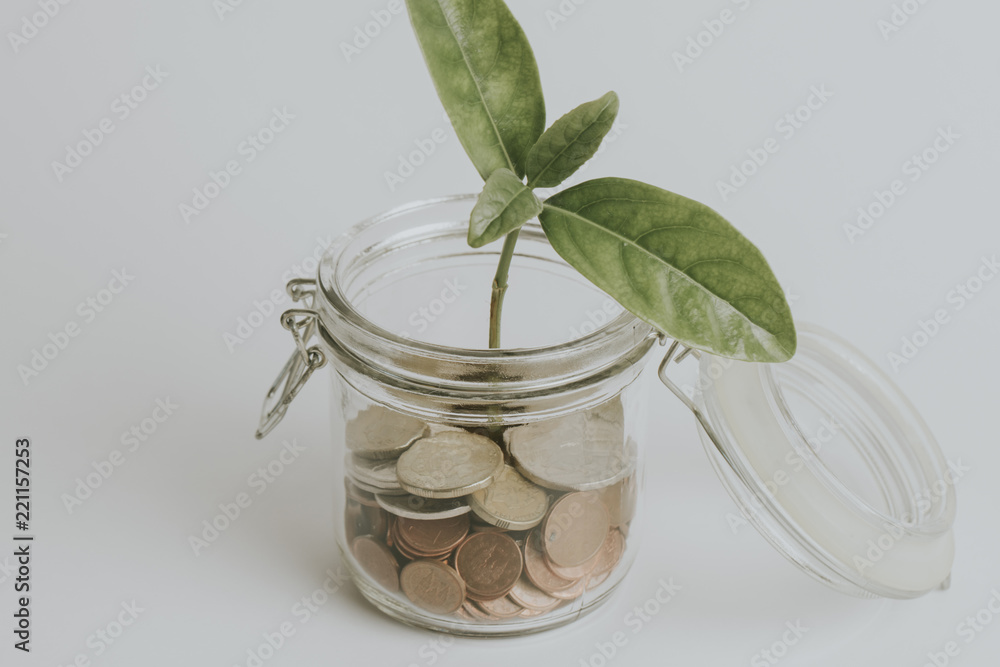 Coins in a glass jar with a green plant growing inside, on white ...