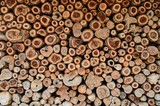 Log wall texture/background