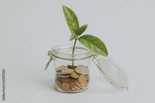 Coins in a glass jar with a green plant growing inside, on white background, with vintage filter.