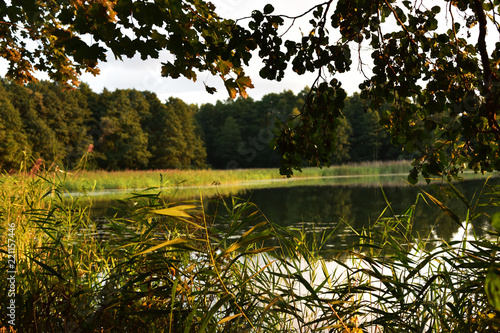 Fototapeta Naklejka Na Ścianę i Meble -  piękna zatoczka jeziora podczas zachodu słońca