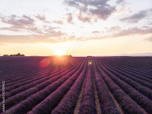 beautiful landscape with blooming lavender flowers at sunset, provence, france