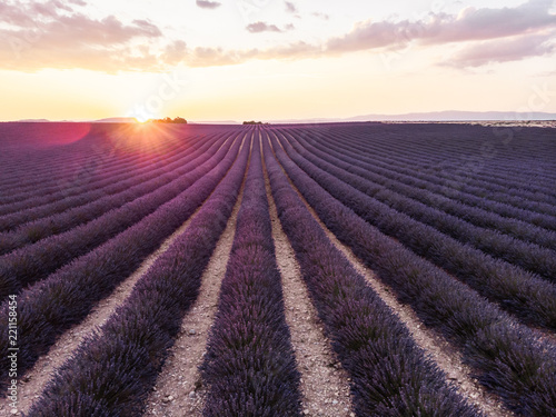 tranquil scene with beautiful lavender field at sunset, provence, france