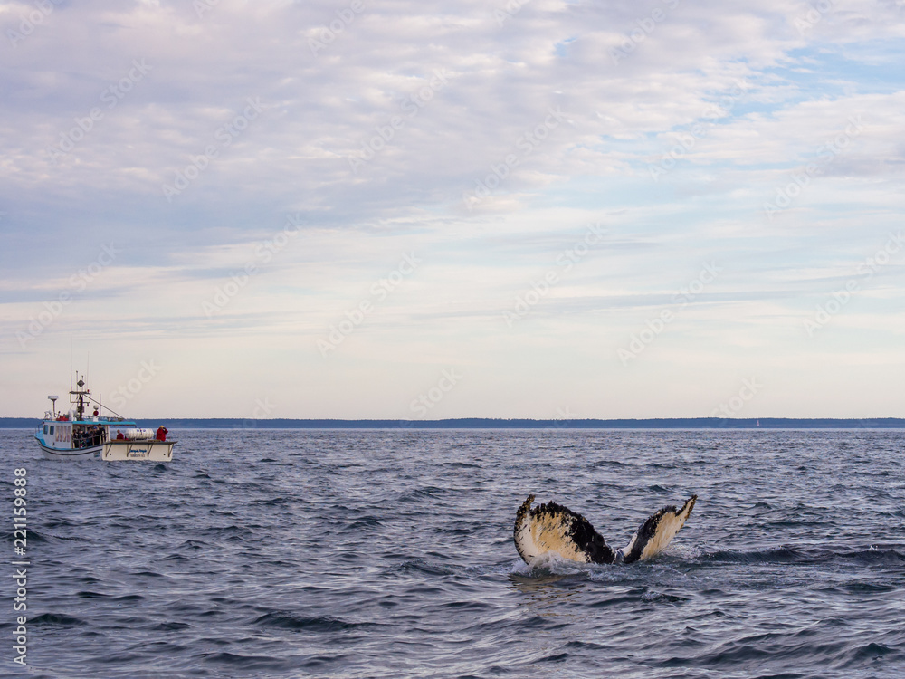 Fototapeta premium Travel Canada