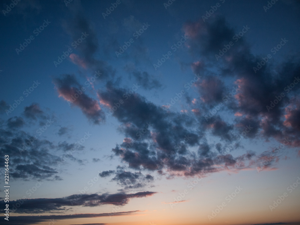 Naklejka premium OLYMPUS DIGITAL CAMERA