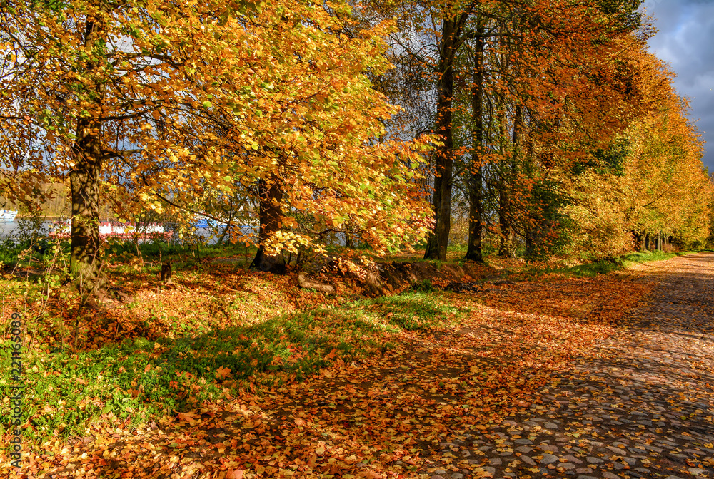Golden autumn in the village of Ust-Izhora, Leningrad region.  The Bank of the river Neva.