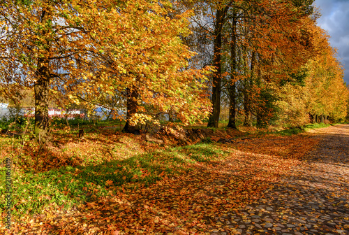 Golden autumn in the village of Ust-Izhora, Leningrad region. The Bank of the river Neva.