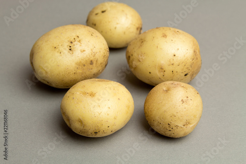 Variable potato on gray background  template