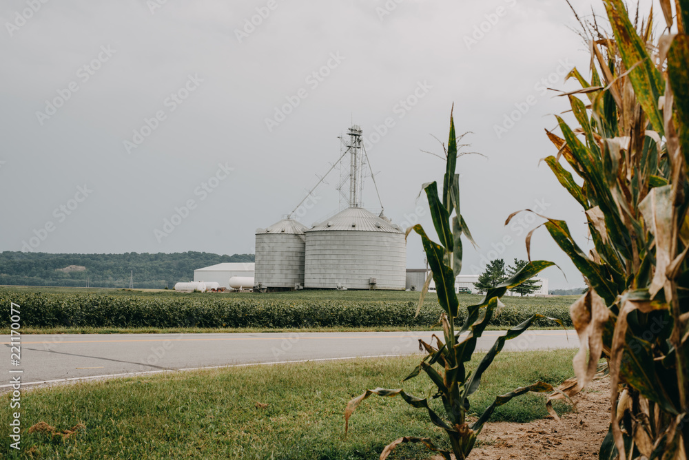 Landscape view of a farm in Indiana Landscape view of a farm in Indiana