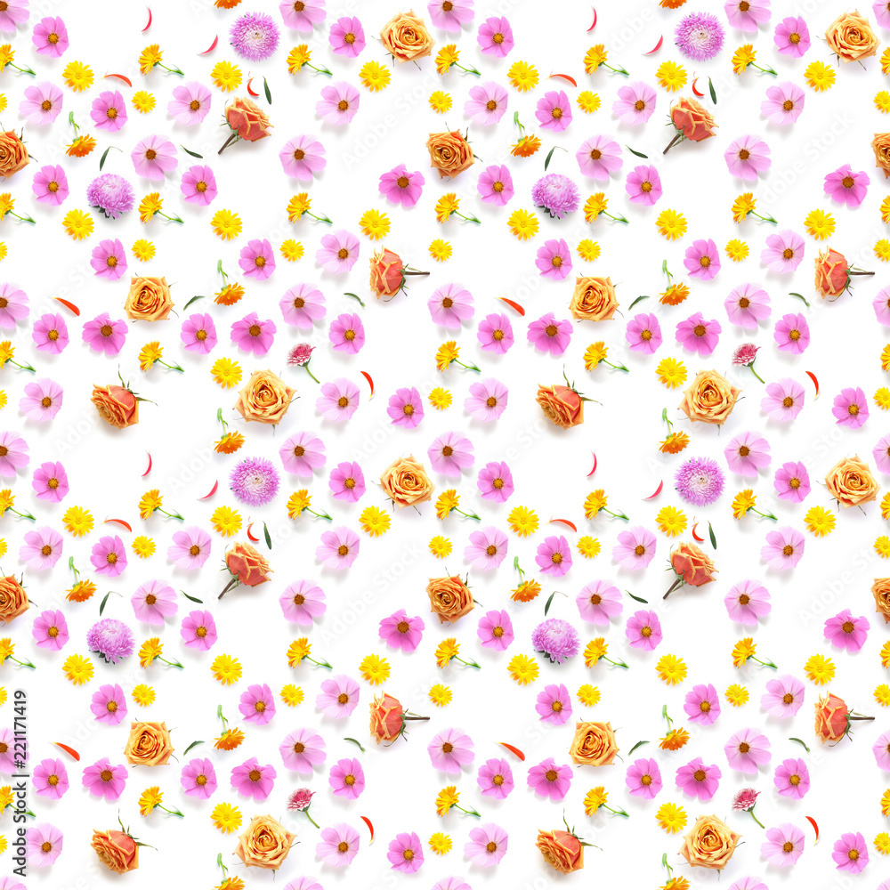Cosmos pink flowers seamless pattern isolated on white background, flat lay, top view. Cosmos pink flowers seamless pattern isolated on white background, flat lay, top view.