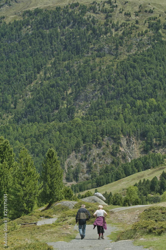 alpejski szlak z turystami podczas letniej górskiej wędrówki