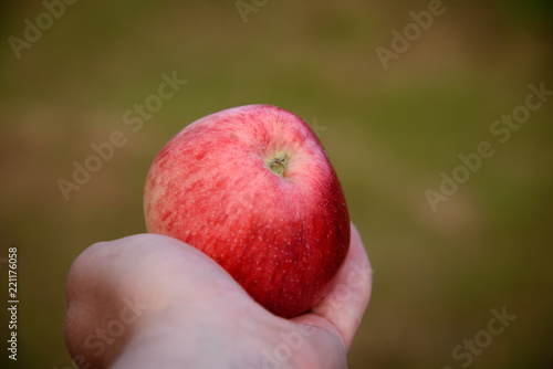 Juicy apple on a palm on a green background