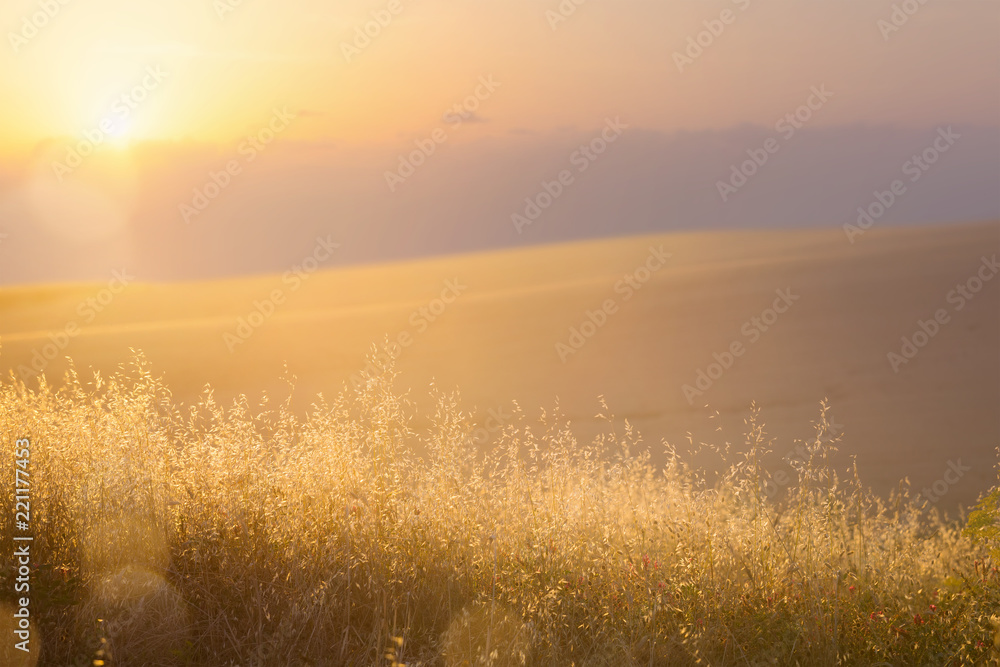 Art abstract September sunny autumn meadow background