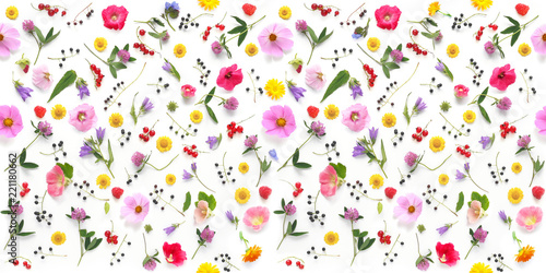 Flowers flat lay. Seamless pattern from plants, wild flowers and berries, isolated on white background, top view. 