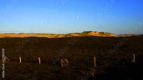 Sylt Mondaufgang in Dünen Landschaft mit Wanderdüne und Heidel
 photo