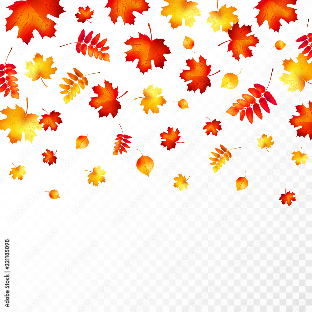 Autumn leaves background. Vector illustration. Autumn leaves background. Vector illustration.