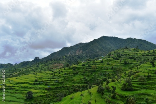 lush green mountains landscape