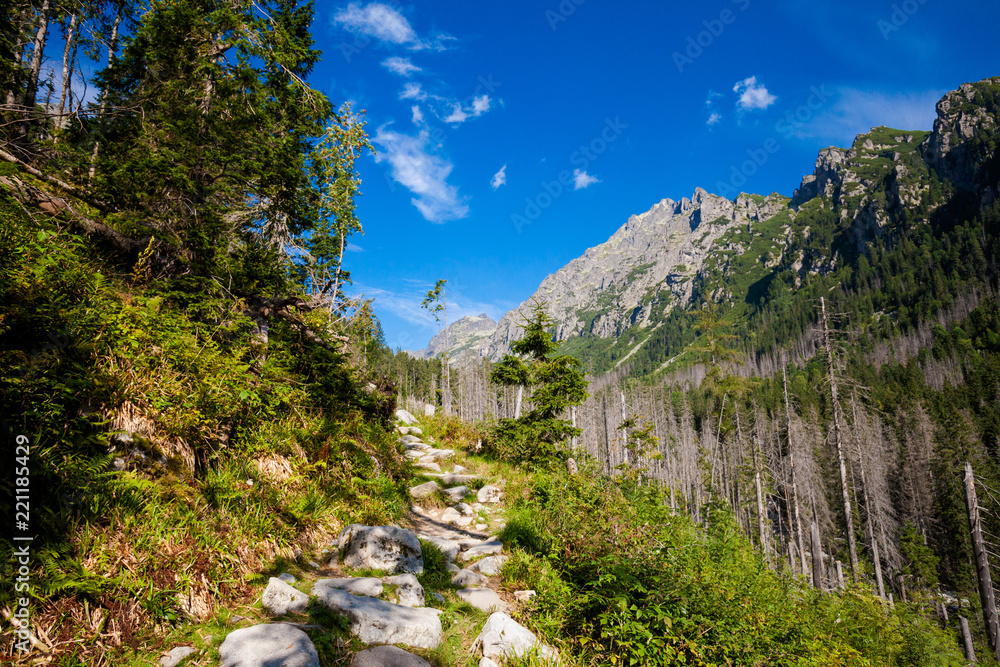 Naklejka premium Slovakian Velka Studena Dolina Tatra