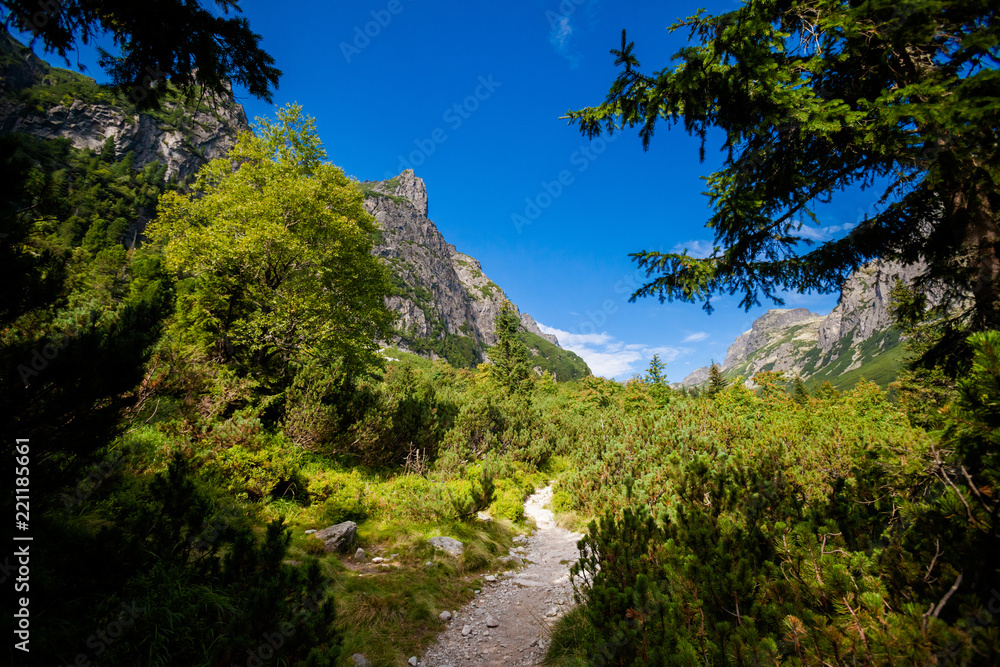 Slovakian Velka Studena Dolina Tatra