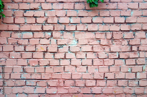 Wallpaper Mural Image of Brick wall with ivy branch. 2 Torontodigital.ca