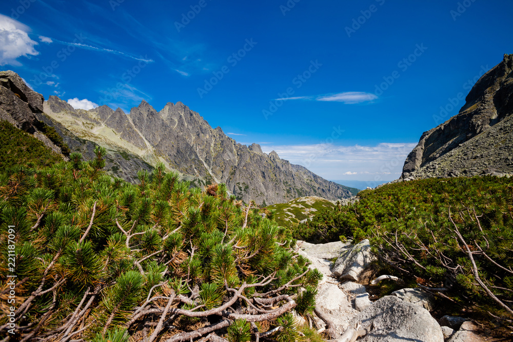 Fototapeta premium Slovakian Velka Studena Dolina Tatra