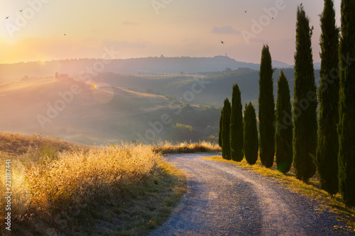 beautiful autumn winding country road leading through rural countryside in the Italy Tuscany District with evening sunlight.