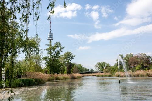 Photography on the bank of a pond in the Danube Park of Vienna