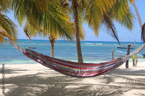 Eine H  ngematte unter den Palmen am Strand in der Karibik