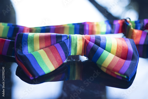 Gay lesbian LGBT bow tie photo