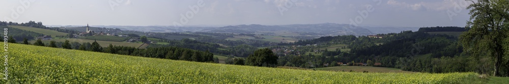 Landschaftspanorama mit Rapsfeld in Oberösterreicho
