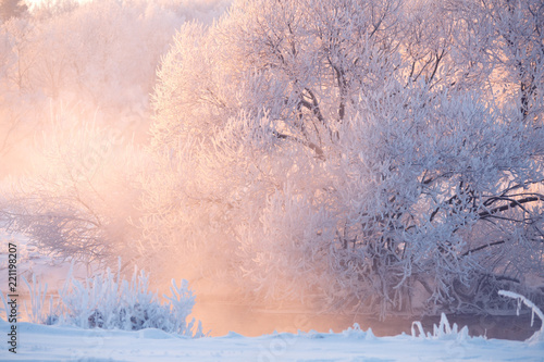 Vivid winter landscape.