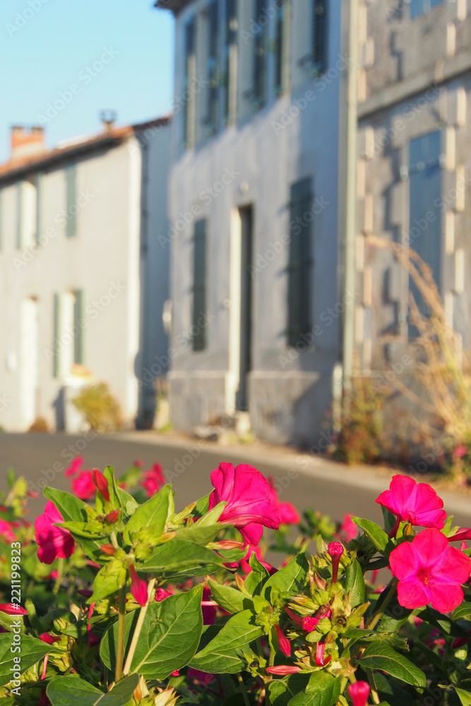 Frankreich: Blumen in der Dorfstraße, Mandeville