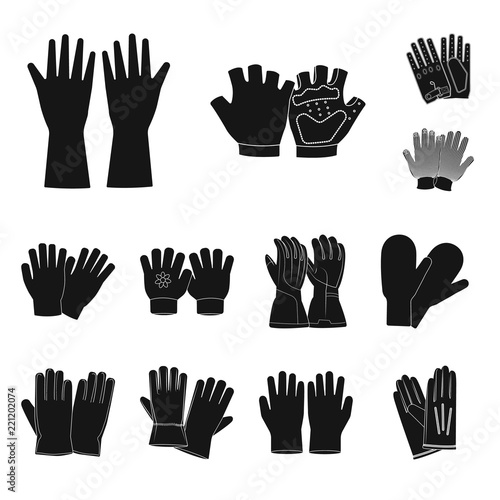 Isolated object of glove and winter sign. Collection of glove and equipment stock symbol for web. photo