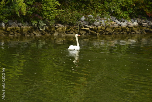 Donau Kanal Altmuhl photo