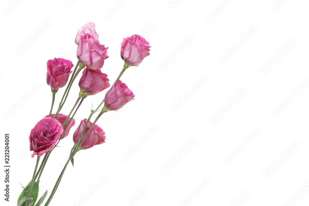 トルコキキョウの花束 トルコキキョウの花束