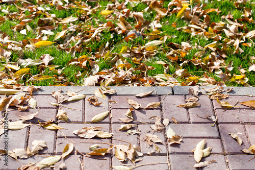 Картината върху платно Autumn Leaves by the Sidewalk