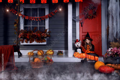 Young funny girl child kid in halloween orange costume playing outdoor with spooky jack pumpkins with scary faces, fog and west highland white terrier dog in black Dracula cloak ready for Halloween photo