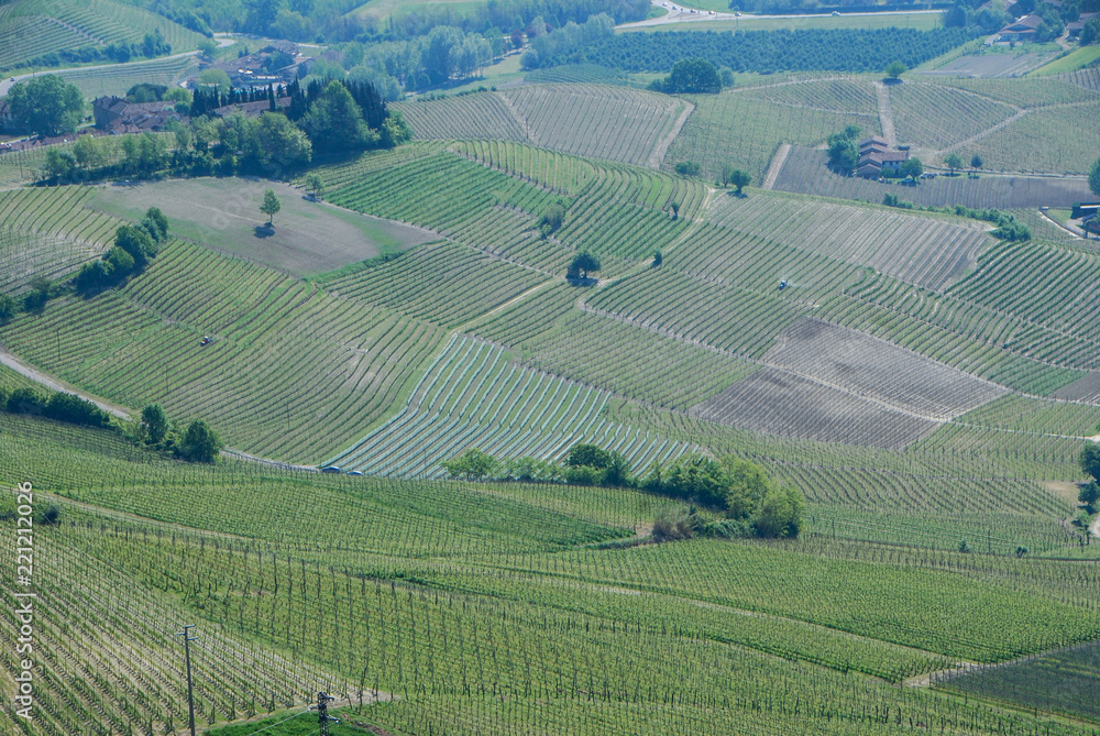 Vineyards on the hills of La Morra, Piedmont - Italy