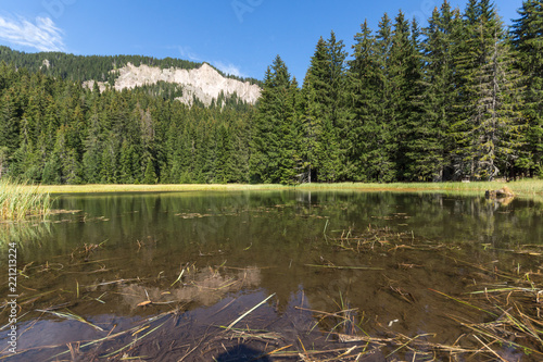 Amazing landscape of  The Grassy (Trevistoto) Smolyan lake at Rhodope Mountains, Smolyan Region, Bulgaria photo