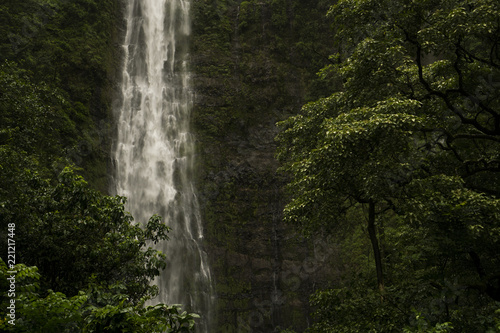 Bottom of Waimoku Falls