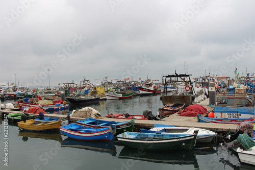 Setúbal boats