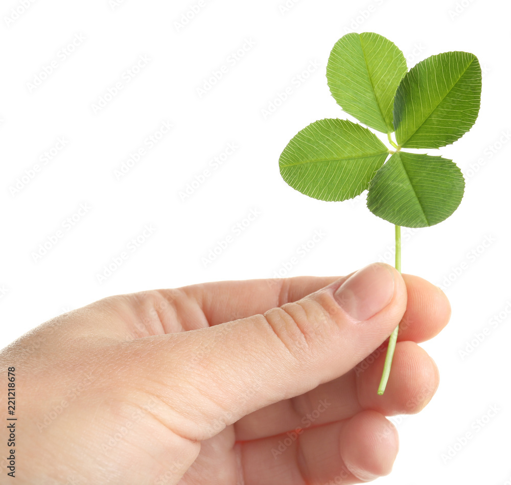 Woman holding four-leaf clover on white background, closeup Woman holding four-leaf clover on white background, closeup