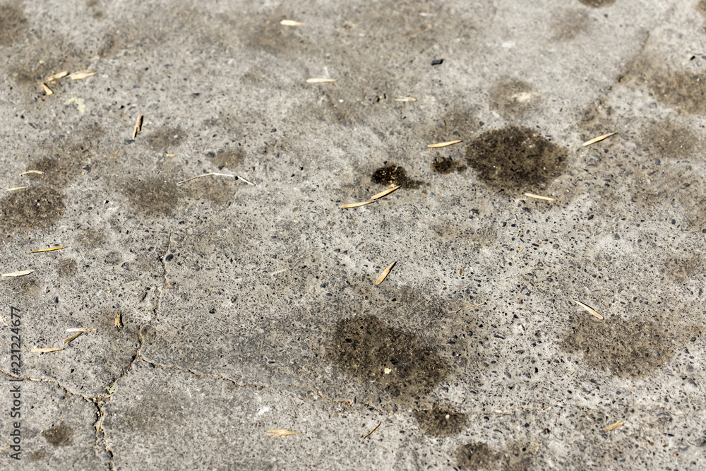 a drop of car oil on the asphalt a drop of car oil on the asphalt