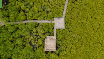 Fototapete Luftbild Goldene Mangroven in Rayong Thailand  © nipastock
