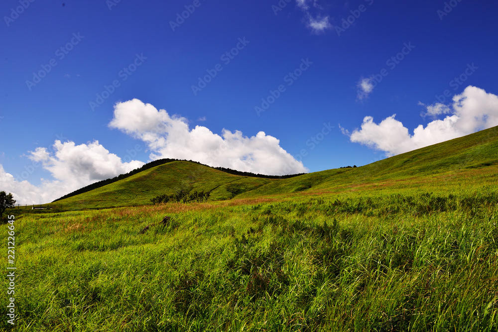 Fototapeta premium 一目山